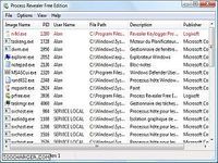 TÉLÉCHARGER REVEALER KEYLOGGER SANS VIRUS