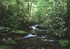Rivière