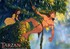 Tarzan