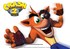 Crash bandicoot