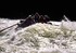 Rafting