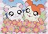 Hamtaro