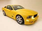 Ford Saleen NTMG-S281