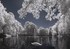 Lac du cygne
