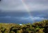 Arc en ciel