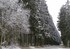 Grand froid