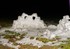 Igloo