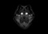 Wolf ghost