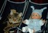 Chat avec un bébé