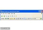 Download Toolbar for Internet Explorer Internet