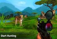 Lion Hunting Jeux