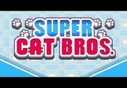 Super Cat Bros Jeux