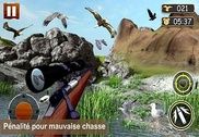 Africaine de chasse d'oiseaux