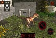 Dinosaur assassin 3D