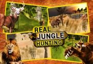 Real Jungle Hunting Sniper Hunter Safari Jeux