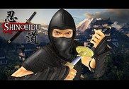 Sengoku Ninja Assassin 3D