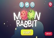 Moon Rabbit Jeux