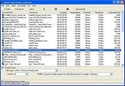 River Past Audio Converter Multimédia