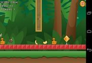 Jungle Monkey Jeux