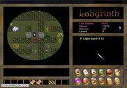 Lost Labyrinth Jeux
