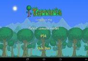 Terraria World Map Jeux