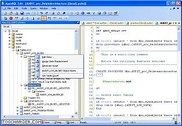 Apex SQL Edit Programmation