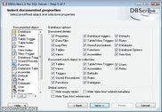 DBScribe for SQL Server Programmation
