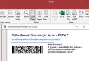Access PDF417 Barcode Generator Bureautique
