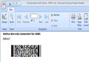 SSRS PDF417 Barcode Generator Programmation