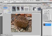 Adobe Photoshop CS6 Extended Multimédia