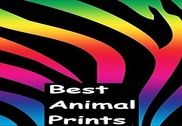 Best Animal Print Wallpapers Internet