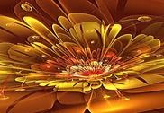 3D Flower Wallpapers Internet