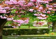 Spring Flower Live Wallpaper Internet