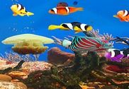 Aquarium et poissons Internet
