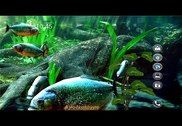 Piranha Aquarium 3D lwp Internet