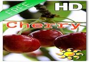 Berry Cherry LWP Free Internet