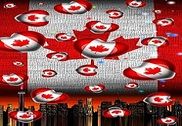 Canada Flag Internet