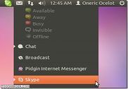 Skype Wrapper Utilitaires