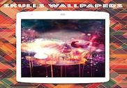 Skulls Wallpapers Internet