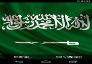 Flag of Saudi Arabia Internet