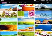 Summer Wallpapers Internet