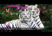 3D Bengal Tiger Live Wallpapers Internet