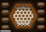 Hexagonal Chess