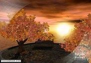 Autumn Sunset Personnalisation de l'ordinateur