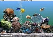 Marine Aquarium Personnalisation de l'ordinateur
