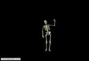 3-D Dancing Skeleton Personnalisation de l'ordinateur