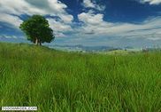 Grassland 3D Screensaver Personnalisation de l'ordinateur