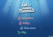 Soa et les mammifères marins Jeux