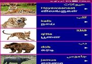 Learn Arabic From Tamil Education