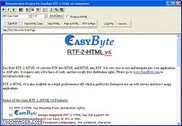 EasyByte RTF-2-HTML Programmation
